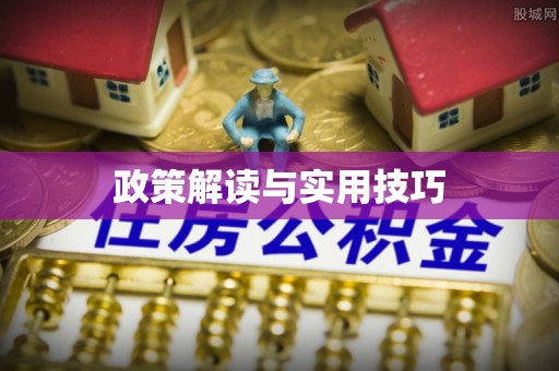 璧山政策解读与实用技巧